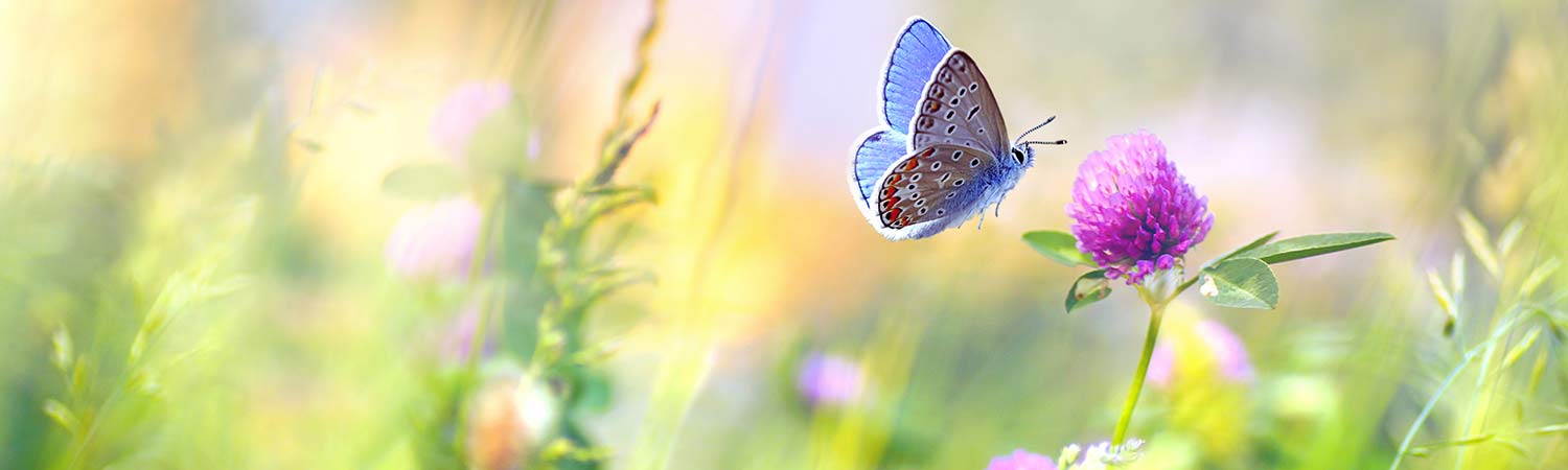 inner-bannerAbout Me