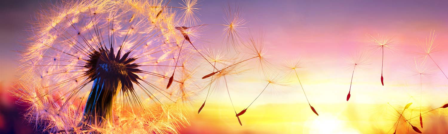 inner-bannerService Details